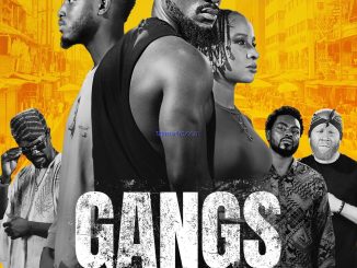 Gangs of Lagos